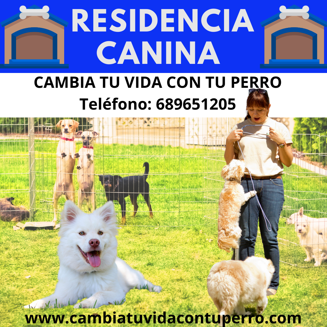 Residencia Canina en Villanueva de la Serena