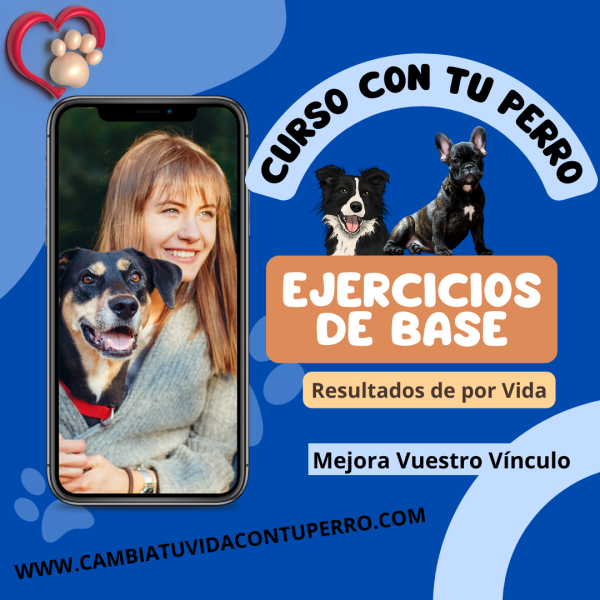 CURSO ONLINE EJERCICIOS DE BASE