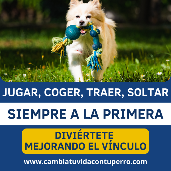 CURSO ONLINE JUGAR, COGER, TRAER, SOLTAR