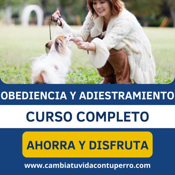 CURSO ONLINE COMPLETO OBEDIENCIA Y ADIESTRAMIENTO