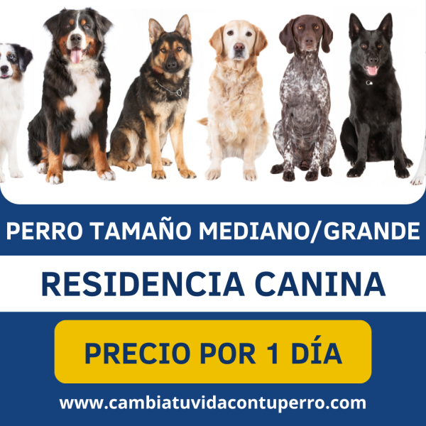 ESTANCIA PERRO MEDIANO GRANDE