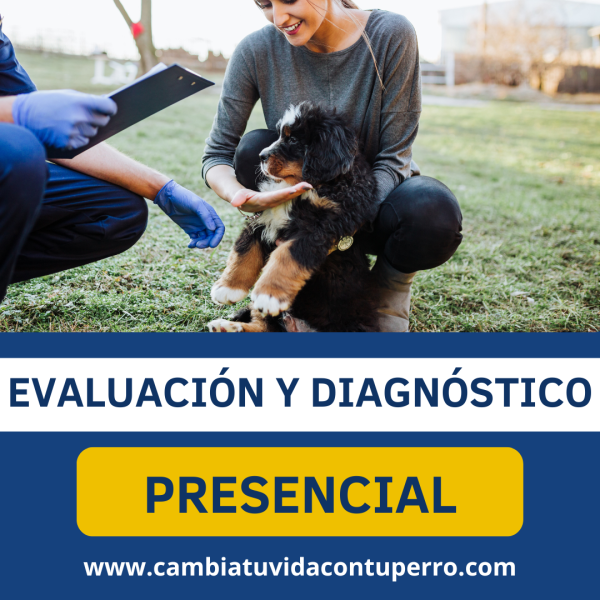 Evaluación y Diagnóstico de Tu Perro CAMBIA TU VIDA CON TU PERRO