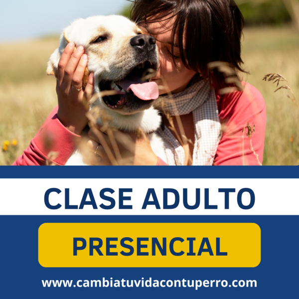 CLASE PRESENCIAL ADULTO