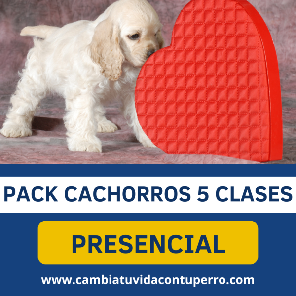 PACK INICIO CACHORROS CAMBIA TU VIDA CON TU PERRO