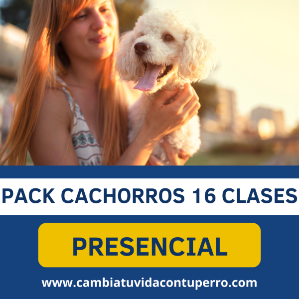 PACK AVANZADO CACHORROS CAMBIA TU VIDA CON TU PERRO