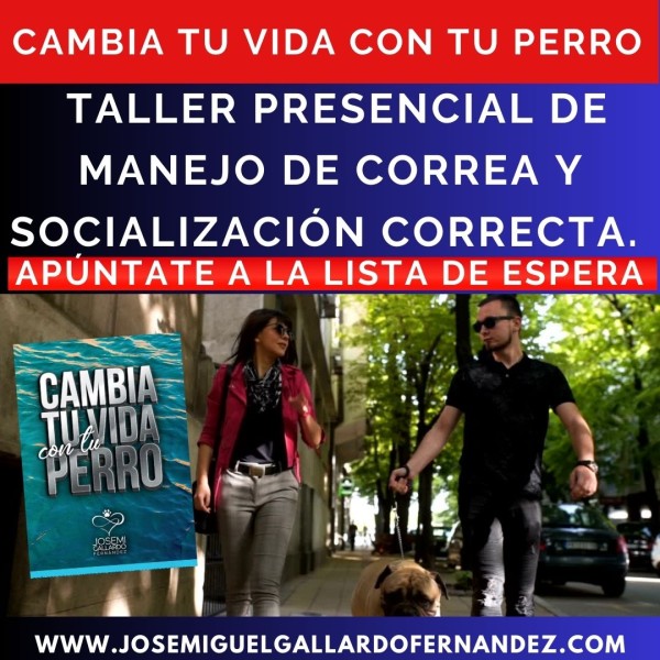 Taller Presencial de Manejo de Correa y Socialización Correcta.
