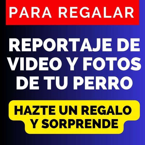 REPORTAJE DE VIDEO Y FOTOS DE TU PERRO