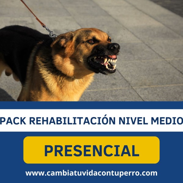 PACK REHABILITACIÓN NIVEL MEDIO