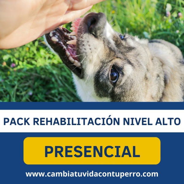 PACK REHABILITACIÓN NIVEL ALTO