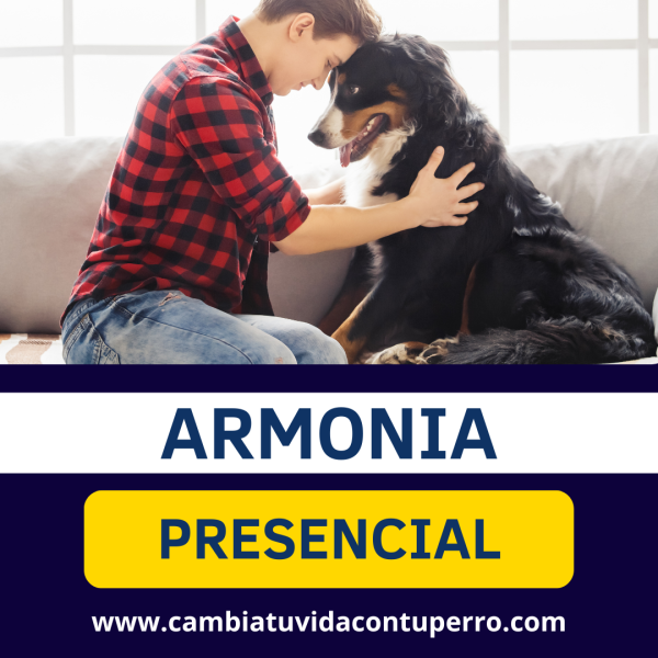 PROGRAMA ARMONIA PRESENCIAL