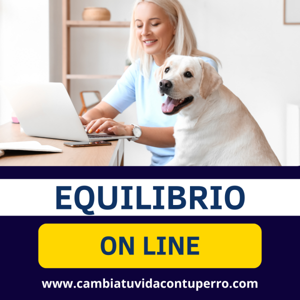 PROGRAMA EQUILIBRIO ON LINE