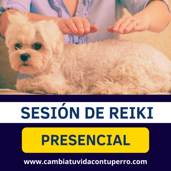 SESIÓN DE REIKI