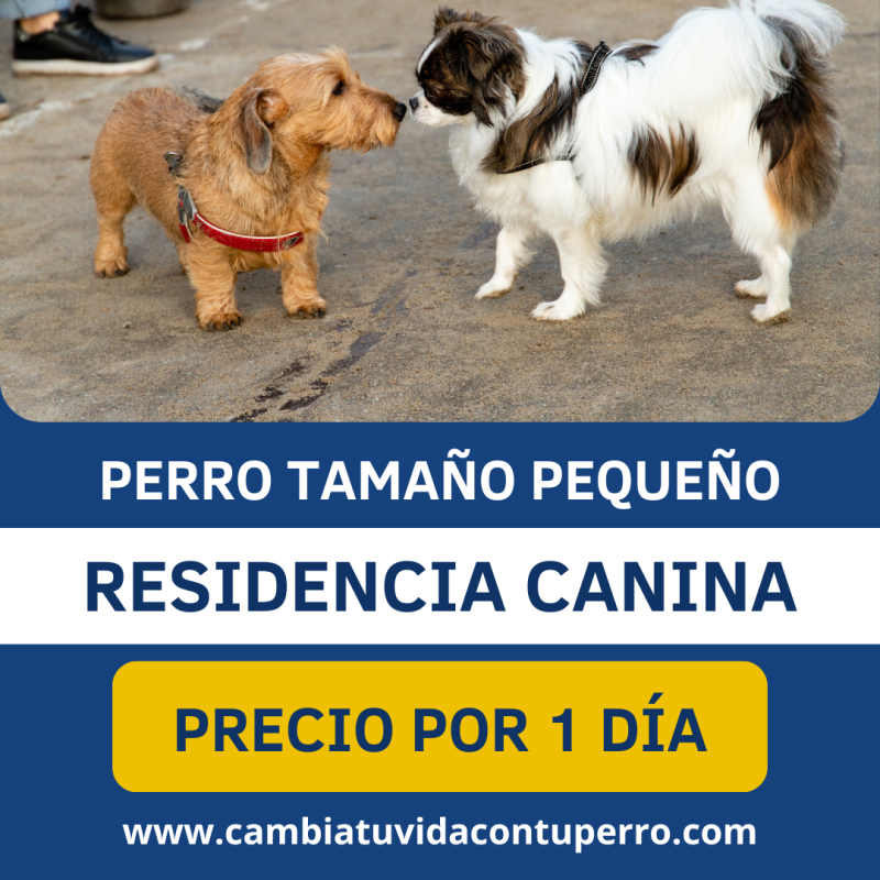 ESTANCIA PERRO PEQUEÑO