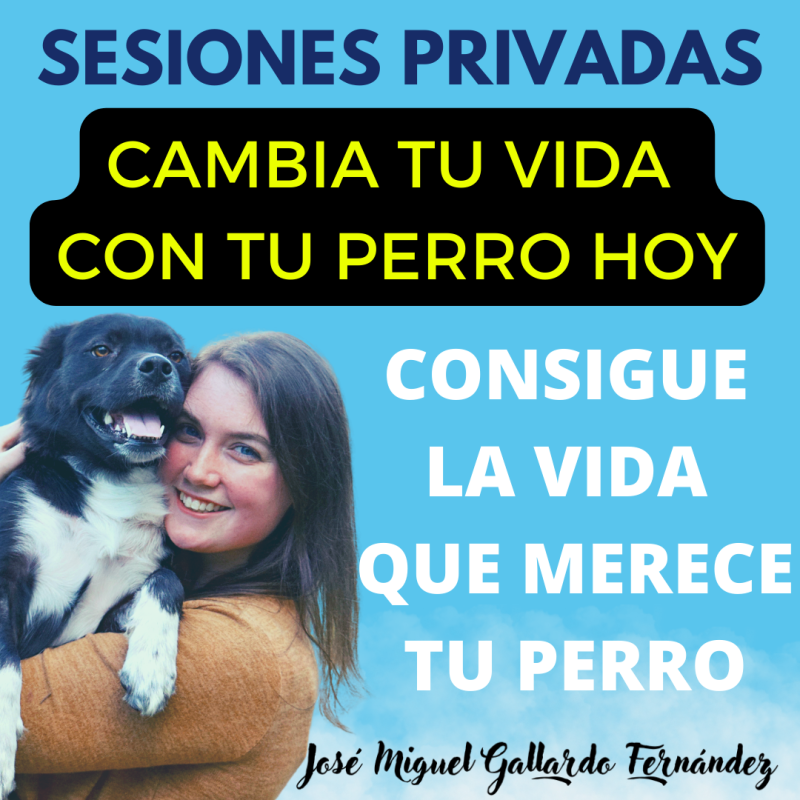 Sesión Privada con Tu Perro