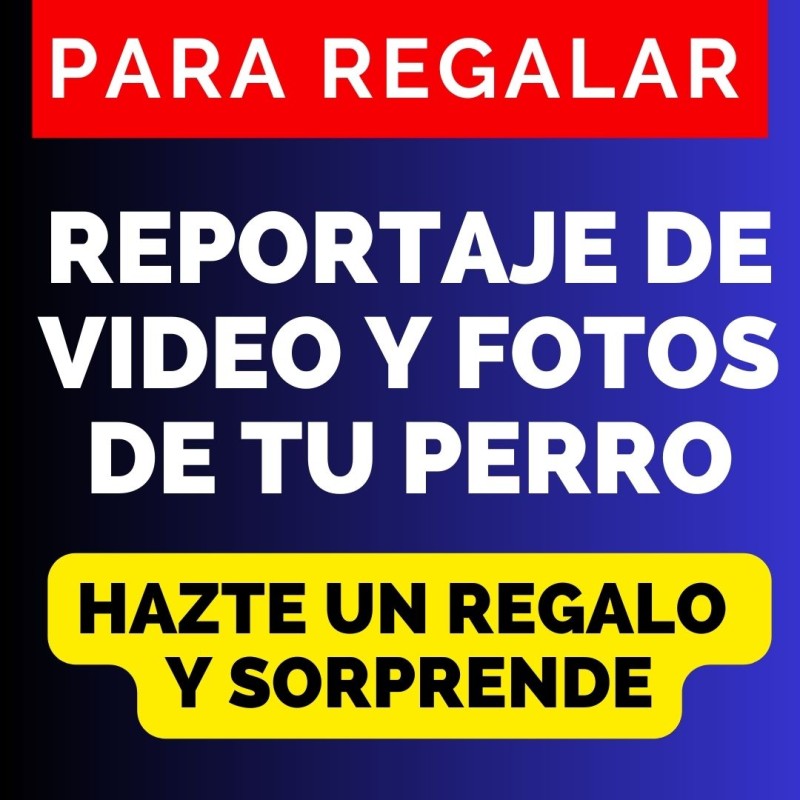 REPORTAJE DE VIDEO Y FOTOS DE TU PERRO