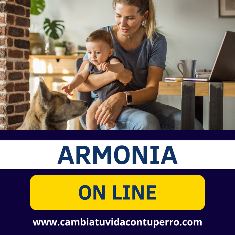 PROGRAMA ARMONIA ON LINE