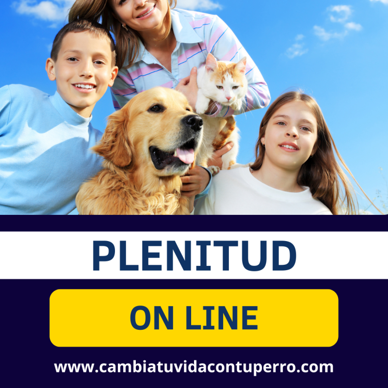 PROGRAMA PLENITUD ONLINE