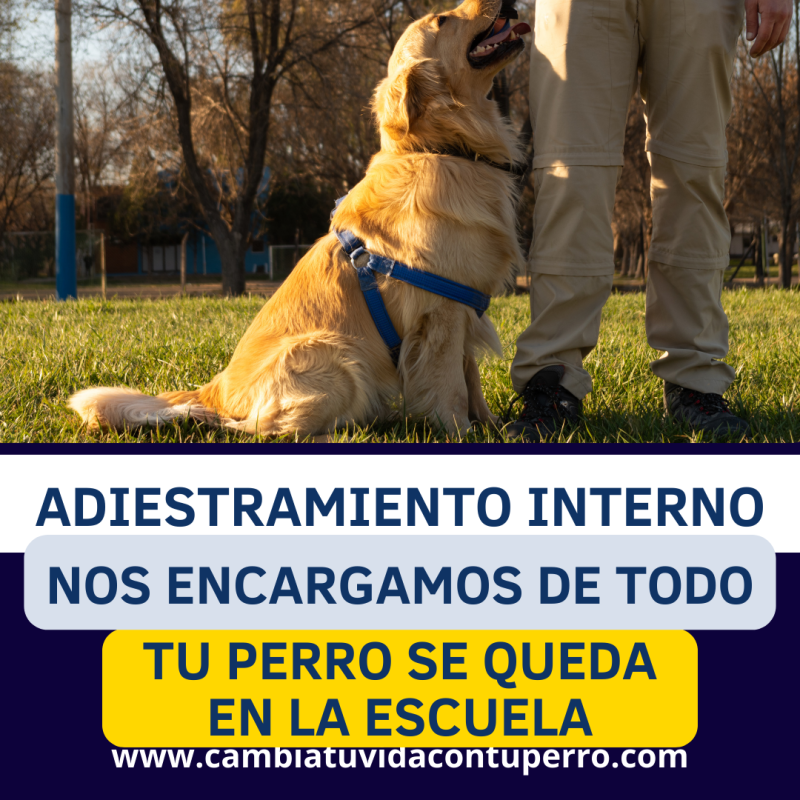 ADIESTRAMIENTO CANINO INTERNO