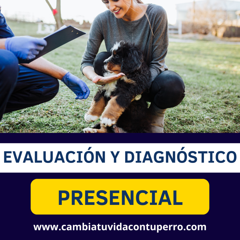 Evaluación y Diagnóstico de Tu Perro CAMBIA TU VIDA CON TU PERRO