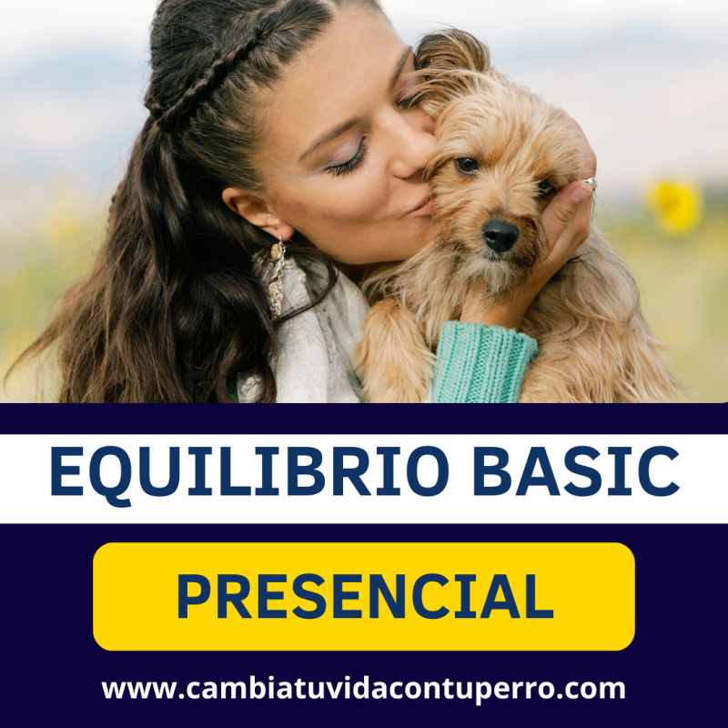 PROGRAMA EQUILIBRIO BASIC PRESENCIAL