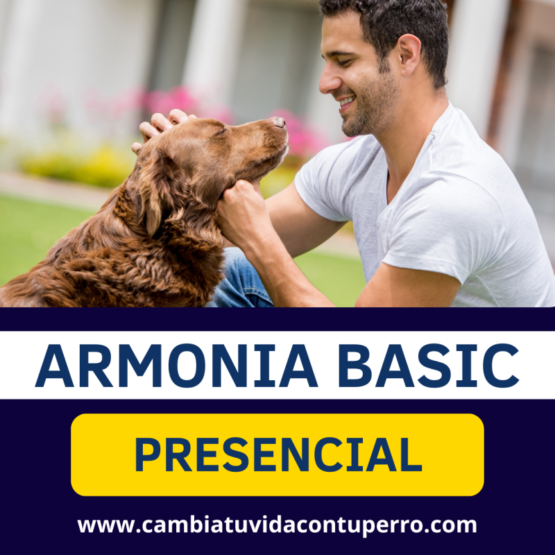PROGRAMA ARMONIA BASIC PRESENCIAL